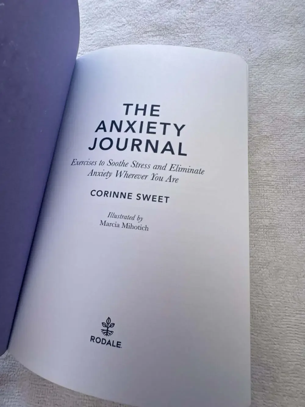 The Anxiety Journal by Corinne Sweet: 9781635652185